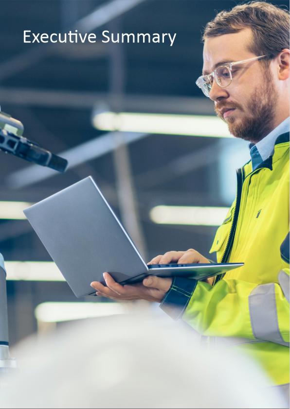 Project Executive Summary